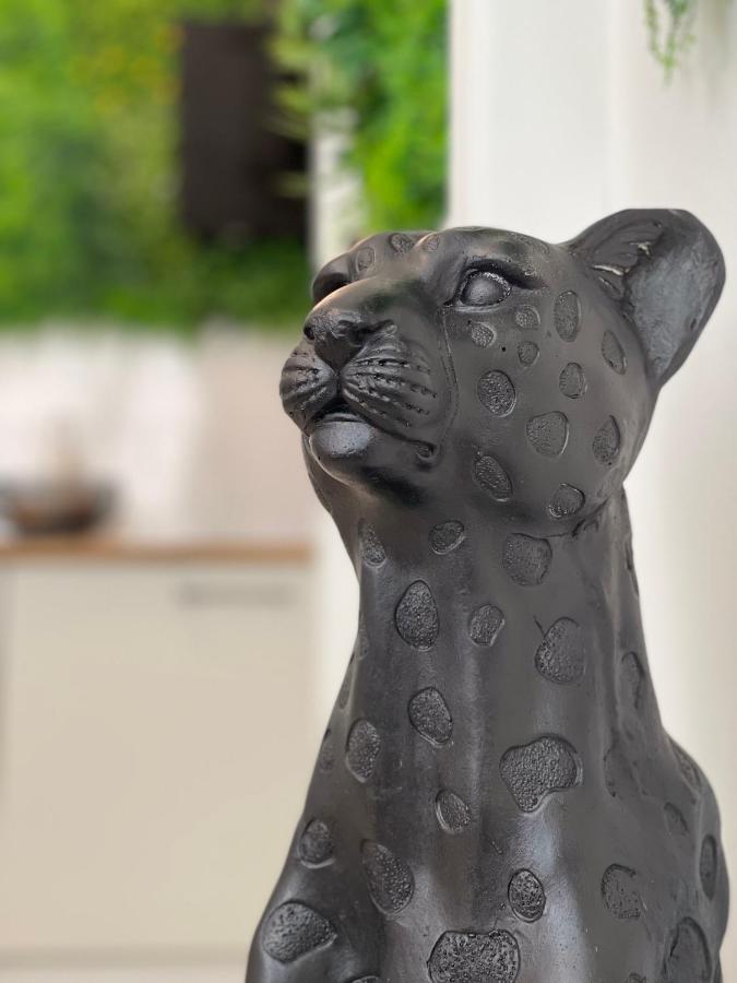 Tous'O'Zoo, Au Coeur Du Centre-Ville Saint-Aignan  Luaran gambar