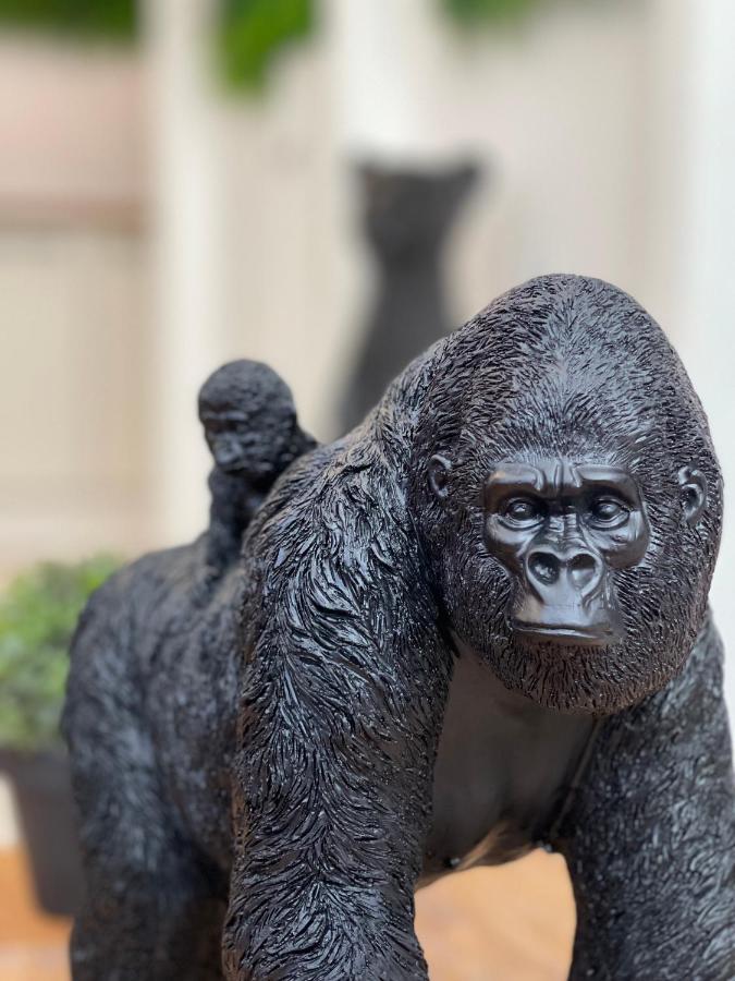 Tous'O'Zoo, Au Coeur Du Centre-Ville Saint-Aignan  Luaran gambar